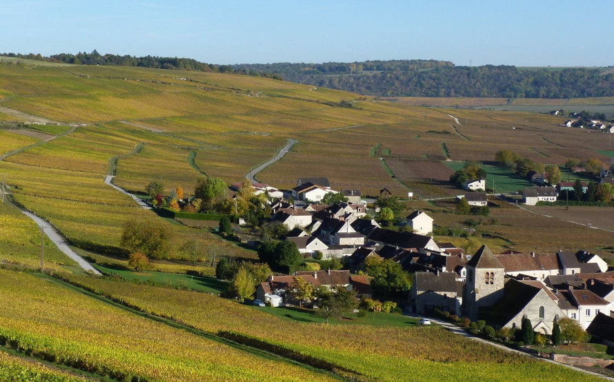 vigne domaine Laétitia et olivier Marteaux